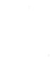 NCBW 100